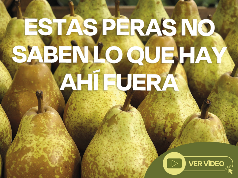 especial-peras-lupa.com-desenfoque.jpg