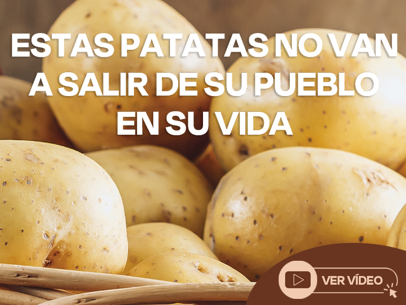especial-patatas-lupa.com.jpg