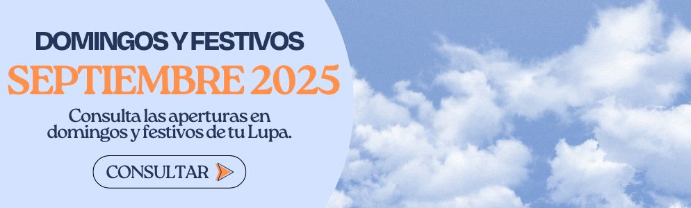Domingos y festivos