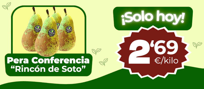 Nuevo folleto