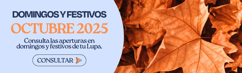 Domingos y festivos
