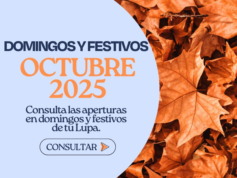 Domingos y festivos