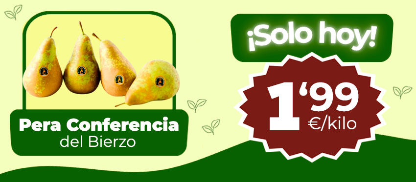 Nuevo folleto