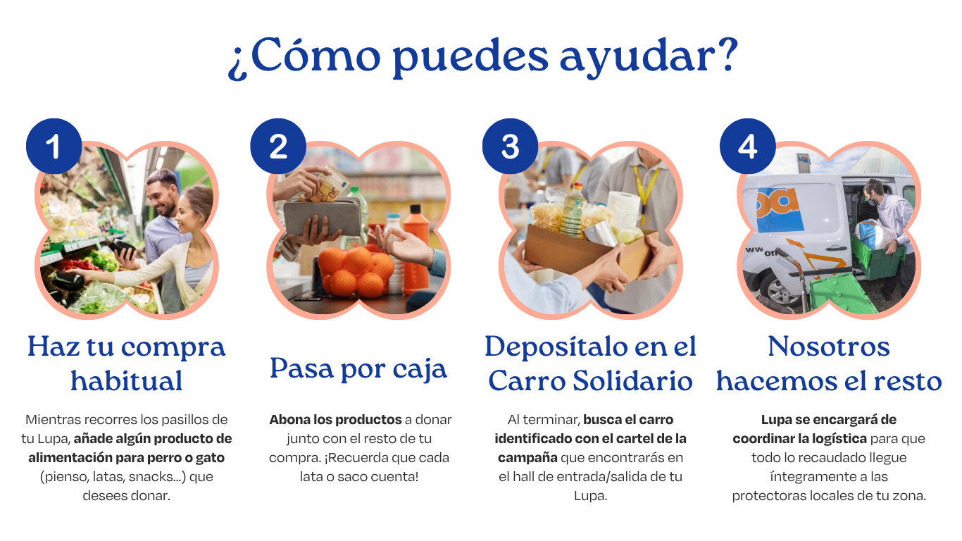 como-ayudar.png