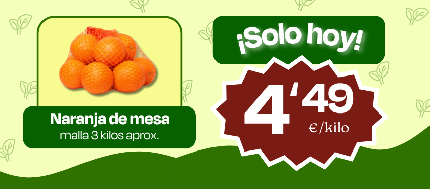 web-lupa.png