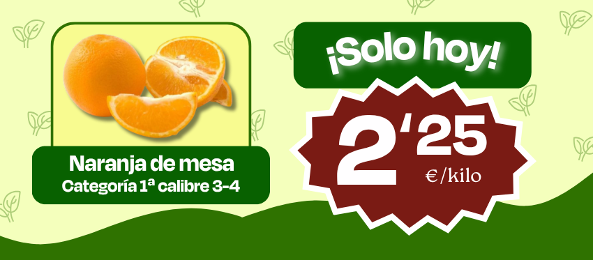 web-lupa1.png