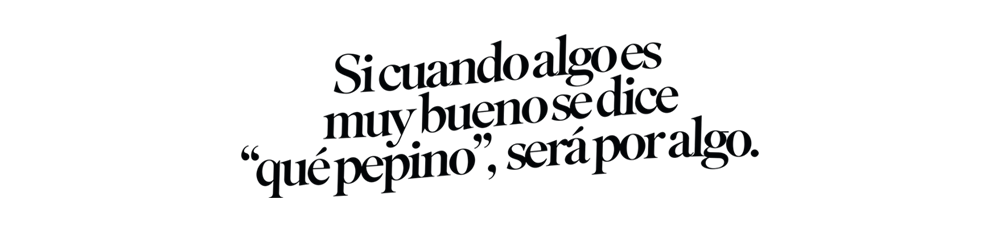 pepino-titular-final-final.png