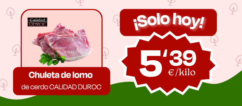 ofertadia-web-lupa-25-09-26.png