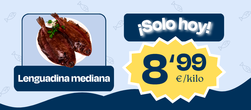 2026-10-27-ofertadia-web-lupa.png