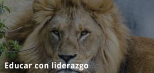 Educar con liderazgo