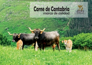 Alianza por la mejor carne IGP de Cantabria entre ganaderos y Lupa