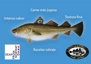 Skrei: el bacalao más exquisito